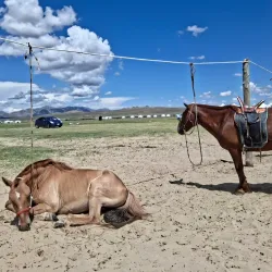 Tsetserleg City Park - Tsetserleg