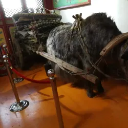 Tsetserleg Cultural Center - Tsetserleg