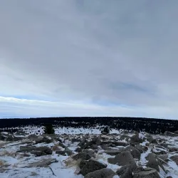 Tsetserleg Monastery (Khiid) - Tsetserleg