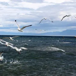 Nuur Lake - Ulaangom
