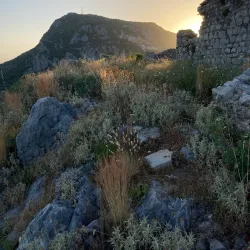 Fortress of Haj Nehaj - Bar