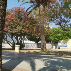 King Nikola's Palace - Bar