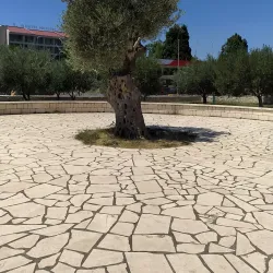 St. Jovan Vladimir Church - Bar