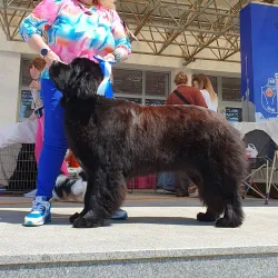 Topolica River Park - Bar