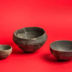 Museum of Berane - Berane