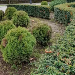 Old Royal Capital Cetinje - Cetinje