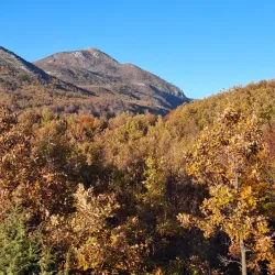 Danilovgrad Town Square - Danilovgrad