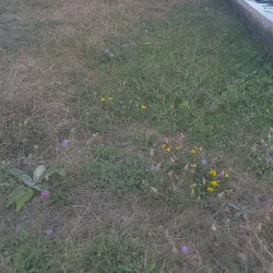 Danilovgrad Town Square - Danilovgrad