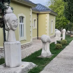 Local Cultural Museum - Danilovgrad