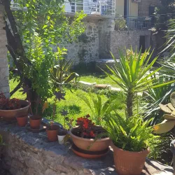 Botanical Garden of Herceg Novi - Herceg Novi