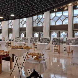 Herceg Novi City Park - Herceg Novi