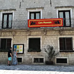 Cat Museum - Kotor