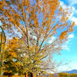 Lake Krupac - Niksic