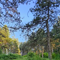 Trebjesa Hill - Niksic