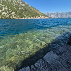 Boat Tours of the Bay of Kotor - Perast