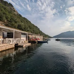 Local Seafood Restaurants - Perast
