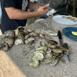 Local Seafood Restaurants - Perast