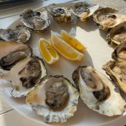 Local Seafood Restaurants - Perast