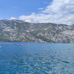 Local Seafood Restaurants - Perast
