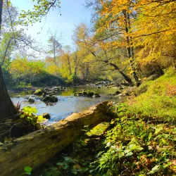 Gradac River - Pljevlja