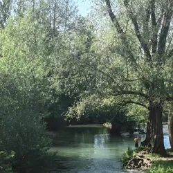 Gradac River - Pljevlja