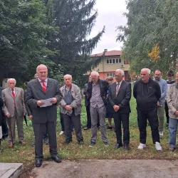 Medieval Necropolis - Pljevlja