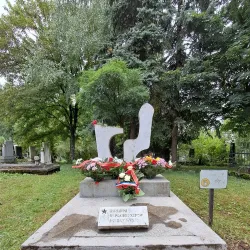 Medieval Necropolis - Pljevlja