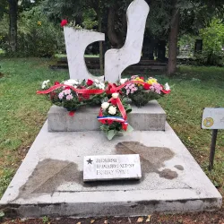 Medieval Necropolis - Pljevlja