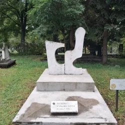 Medieval Necropolis - Pljevlja