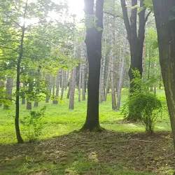 Pljevlja City Park - Pljevlja