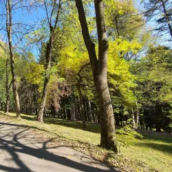 Pljevlja City Park - Pljevlja