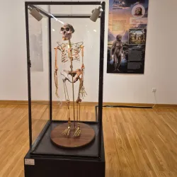 Pljevlja Museum - Pljevlja