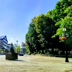 Pljevlja Museum - Pljevlja