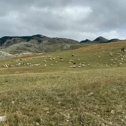 Piva Canyon - Pluzine