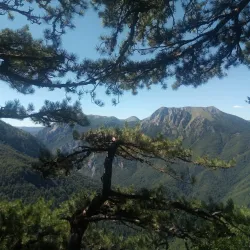 Sutjeska National Park - Pluzine