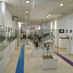 Natural History Museum of Montenegro - Podgorica