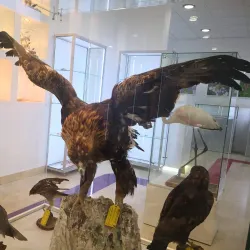 Natural History Museum of Montenegro - Podgorica
