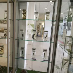 Natural History Museum of Montenegro - Podgorica