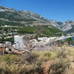 Castle of Sutomore - Sutomore