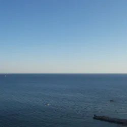 Local Market Sutomore - Sutomore