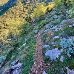 Vrmac Ridge Hiking Trails - Tivat