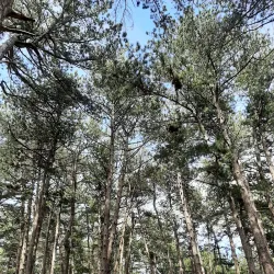 Vrmac Ridge Hiking Trails - Tivat