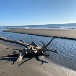 Ada Bojana Island - Ulcinj