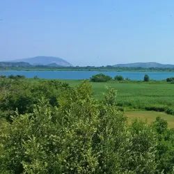 Lake Šas - Ulcinj