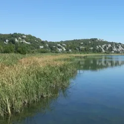 Lake Šas - Ulcinj