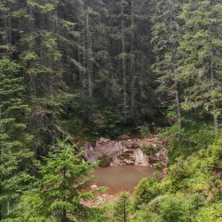 Crno Jezero Hiking Trails - Zabljak