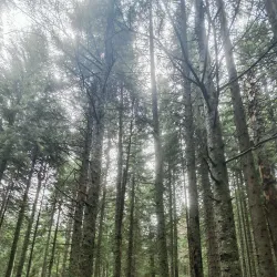 Crno Jezero Hiking Trails - Zabljak