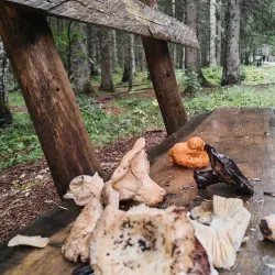 Crno Jezero Hiking Trails - Zabljak