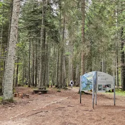 Crno Jezero Hiking Trails - Zabljak