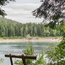 Crno Jezero Hiking Trails - Zabljak